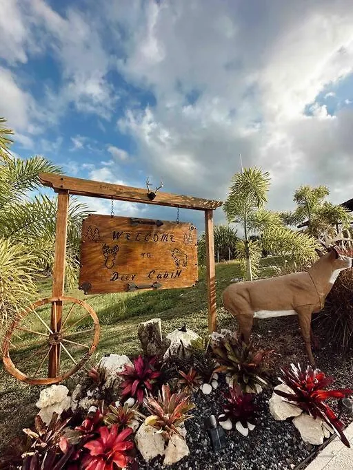 فيلا سان سيباستيانفي Deer Cabin- Cabana Del Venado
